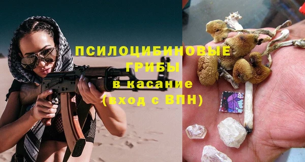 прущая мука Осинники